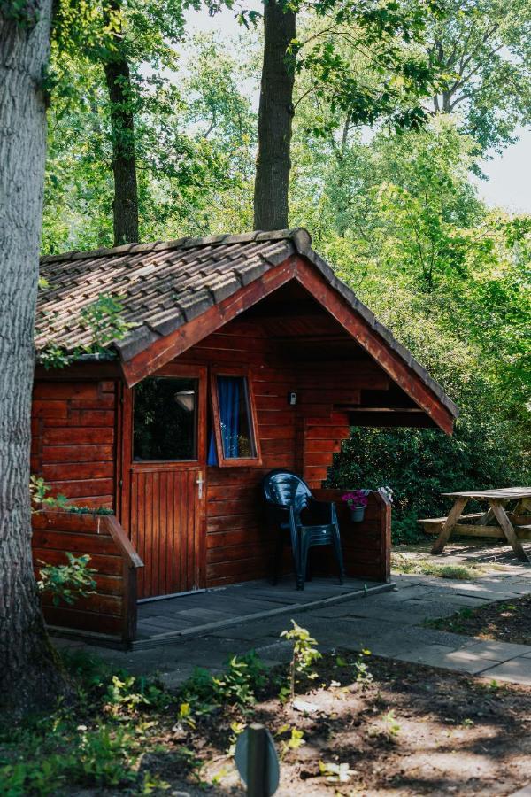 Vila Trekkershut I Ideale Uitvalsbasis Op De Veluwe Epe Exteriér fotografie